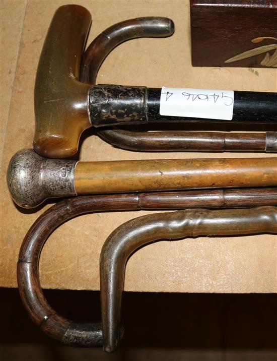 6 walking sticks
